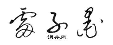 骆恒光雷子墨草书个性签名怎么写