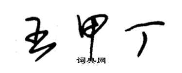 朱锡荣王甲丁草书个性签名怎么写