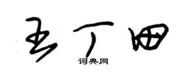 朱锡荣王丁田草书个性签名怎么写