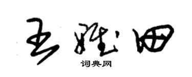 朱锡荣王雅田草书个性签名怎么写