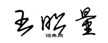 朱锡荣王昭量草书个性签名怎么写
