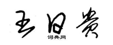 朱锡荣王日贵草书个性签名怎么写