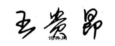 朱锡荣王贵昂草书个性签名怎么写