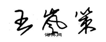 朱锡荣王岚策草书个性签名怎么写