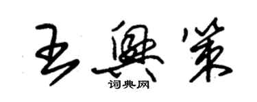 朱锡荣王兴策草书个性签名怎么写