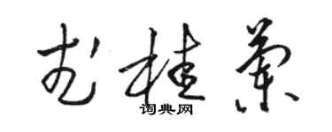 骆恒光武桂兰草书个性签名怎么写