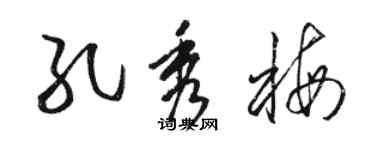骆恒光孔秀梅草书个性签名怎么写