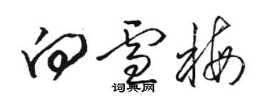骆恒光向雪梅草书个性签名怎么写