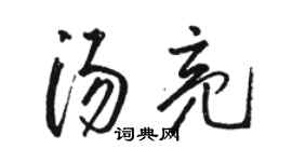 骆恒光汤亮草书个性签名怎么写