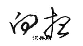 骆恒光向想草书个性签名怎么写