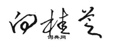骆恒光向桂芝草书个性签名怎么写