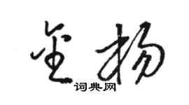 骆恒光金杨草书个性签名怎么写