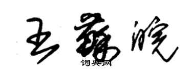 朱锡荣王苏皖草书个性签名怎么写