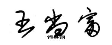 朱锡荣王尚富草书个性签名怎么写