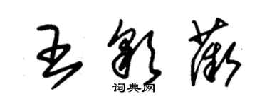 朱锡荣王彩薇草书个性签名怎么写
