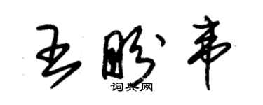 朱锡荣王盼韦草书个性签名怎么写