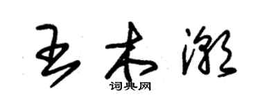 朱锡荣王木潮草书个性签名怎么写