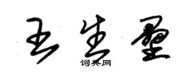朱锡荣王生垒草书个性签名怎么写
