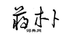 曾庆福蒋朴草书个性签名怎么写