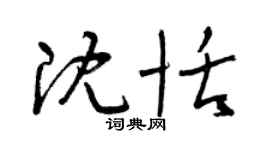 曾庆福沈恬草书个性签名怎么写