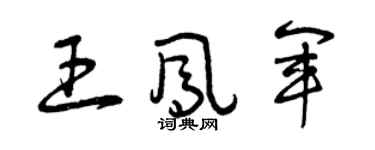曾庆福王凤军草书个性签名怎么写
