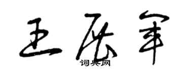 曾庆福王展军草书个性签名怎么写