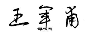 曾庆福王军甫草书个性签名怎么写