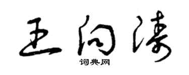 曾庆福王向涛草书个性签名怎么写