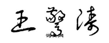 曾庆福王惊涛草书个性签名怎么写