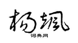 曾庆福杨飒草书个性签名怎么写