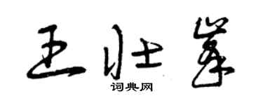 曾庆福王壮峰草书个性签名怎么写