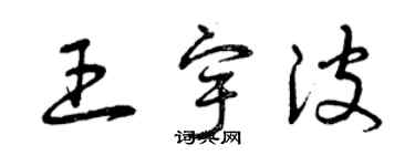 曾庆福王宇波草书个性签名怎么写