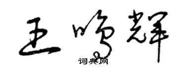 曾庆福王鸣辉草书个性签名怎么写