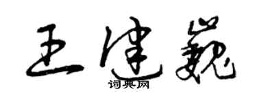 曾庆福王健巍草书个性签名怎么写