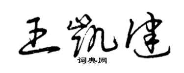 曾庆福王凯健草书个性签名怎么写