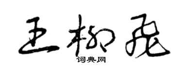 曾庆福王柳飞草书个性签名怎么写