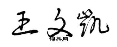 曾庆福王文凯草书个性签名怎么写