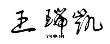 曾庆福王瑞凯草书个性签名怎么写
