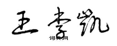 曾庆福王李凯草书个性签名怎么写