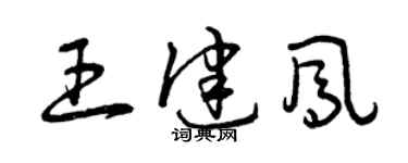 曾庆福王健凤草书个性签名怎么写