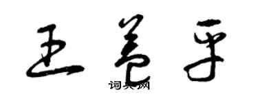 曾庆福王益平草书个性签名怎么写