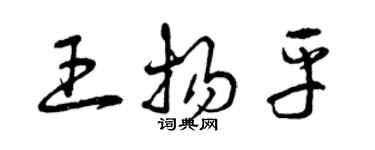 曾庆福王扬平草书个性签名怎么写