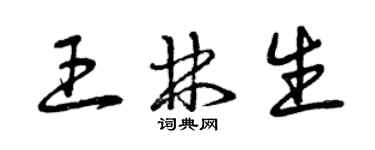 曾庆福王林生草书个性签名怎么写