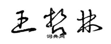 曾庆福王哲林草书个性签名怎么写