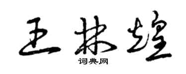 曾庆福王林煌草书个性签名怎么写