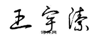 曾庆福王宇洁草书个性签名怎么写