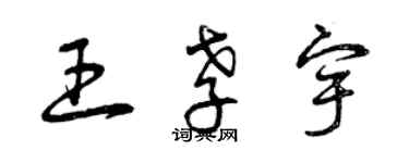 曾庆福王孝宇草书个性签名怎么写