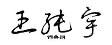 曾庆福王纯宇草书个性签名怎么写