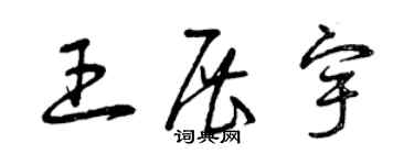 曾庆福王展宇草书个性签名怎么写