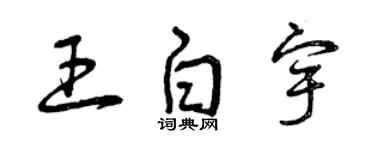 曾庆福王白宇草书个性签名怎么写